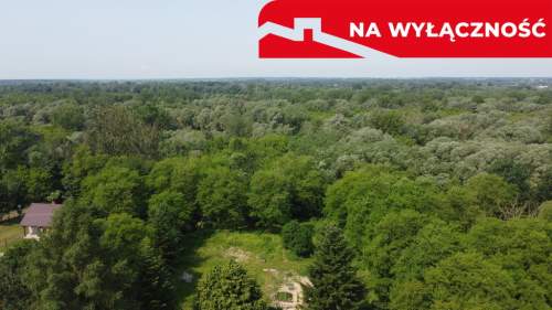 Siedlisko w Kaliszanach Kolonii gm. Józefów