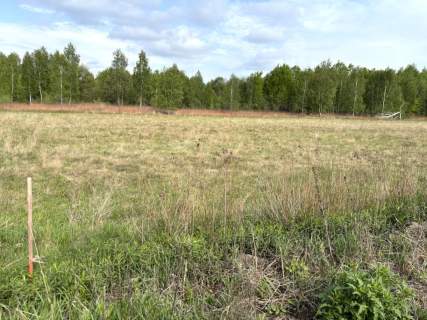 Działka z warunkami zabudowy Pustelnik, 37 km od Warszawy