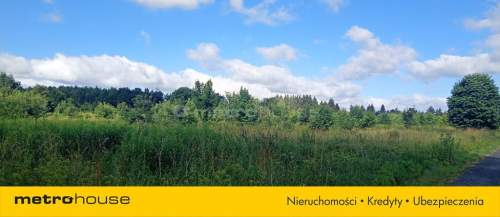 Działka 33,8 ar z widokiem na Góry Izerskie