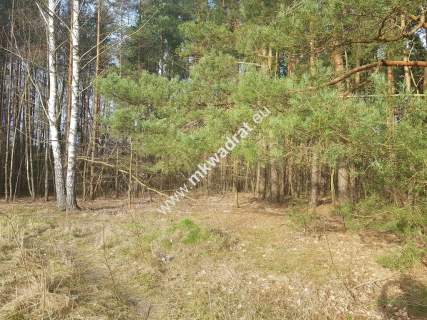  2500 m2 urokliwa działka przy lesie z MPZP 