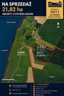Grunty na Zalewem Wiślanym 21,8200ha