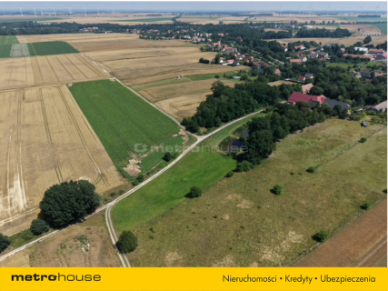 Przypałacowy folwark w Zagrodnie na 1,5 ha gruntu