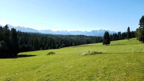 DZIAŁKA W RZEPISKACH Z WIDOKIEM NA TATRY