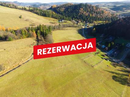Działka rolno-budowlana w Łapszach Niżnych