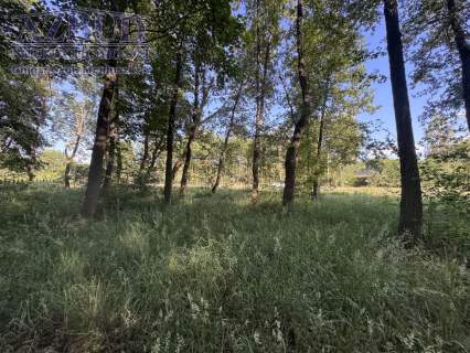 Działka budowlana na sprzedaż, 1709 m2, Rybno Wielkie