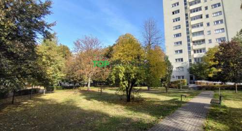 Jasne 2 pokoje, odrębna kuchnia, zielona okolica