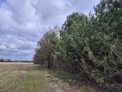 Działka budowlana 1434 m2, Kuklówka Radziejowicka