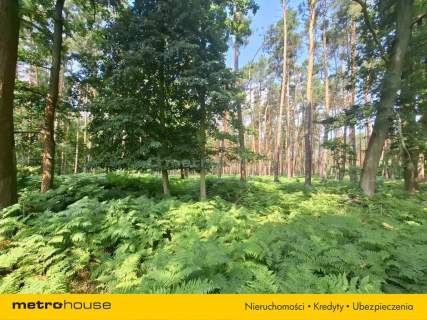 Działka 2,8ha w Dolinie Baryczy Wilkowo