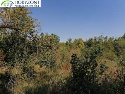 Sulęczyno działka w centrum miejscowości
