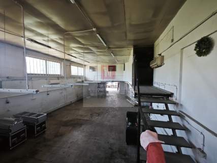 Hala magazynowo-usługowa na wynajem - 250m2