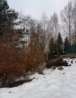 Syndyk sprzeda działki budowlane nad jeziorem w Brodnicy