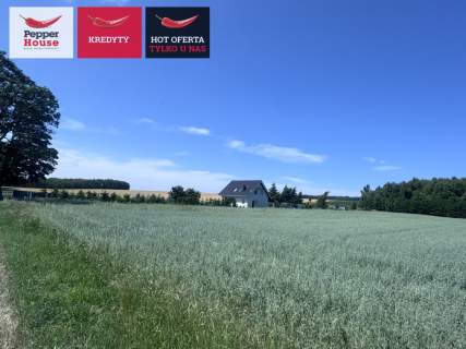 Działka Wrzeście gmina Wicko 2886 m2