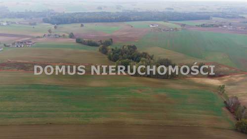 DZIAŁKA na Wzniesieniach Łódzkich