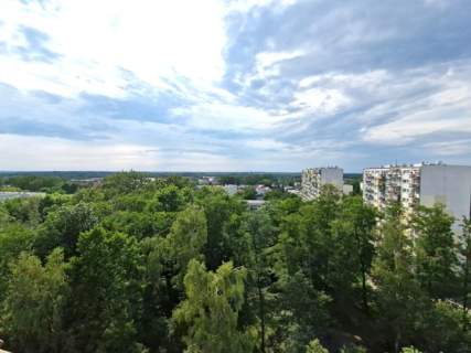 Kawalerka z balkonem, pet friendly, Rojna 52