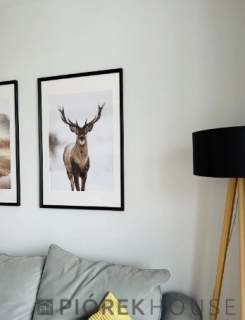 3-pokojowe mieszkanie na Woli