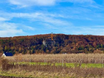 Rusicice, gm. Czernichów. 27 ar w zielonej okolicy