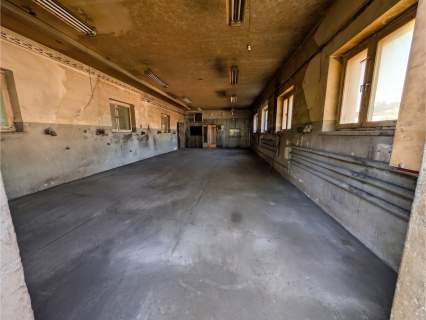 Hale 283 m2 / 13 ar / produkcja / magazyn / biura / przy S8