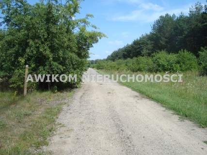 Działka siedliskowa na sprzedaż, 33900 m2, Borowiec