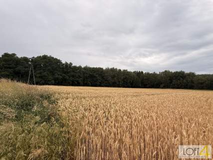 Duża działka z WZ - wiele możliwości