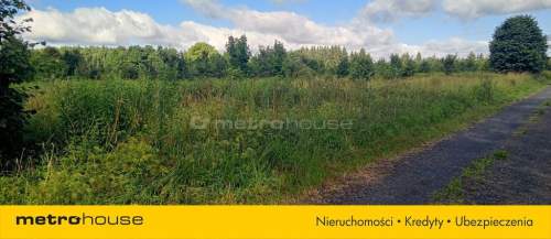 Działka 33,8 ar z widokiem na Góry Izerskie