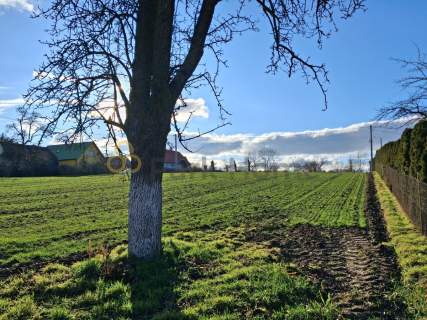 Działka budowlana objęta MPZP, Kurów Wielki