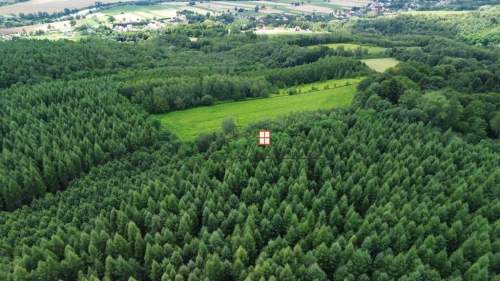 Na sprzedaż wyjątkowy kompleks leśny 15,43 h las