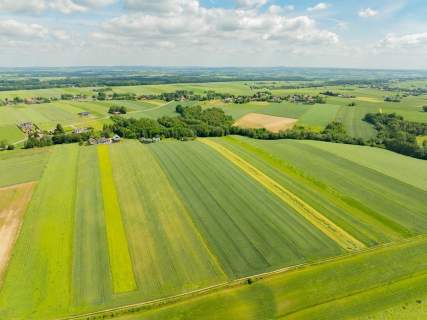 Sielska nieruchomość w otoczeniu natury 2,20 HA