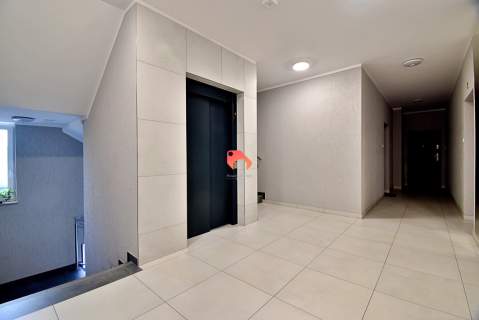 2 Pokoje Balkon, Winda, Miejsce w hali Centrum