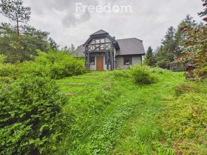 Siedlisko 1,6 ha   Cieszenie k. Chmielna