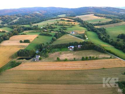 Dom, staw i prawie 2,5ha w gminie Bukowsko
