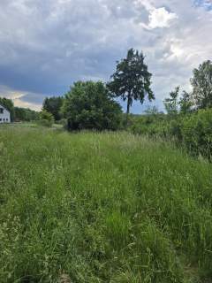 Działka budowlana na sprzedaż, 3365 m2, Zendek