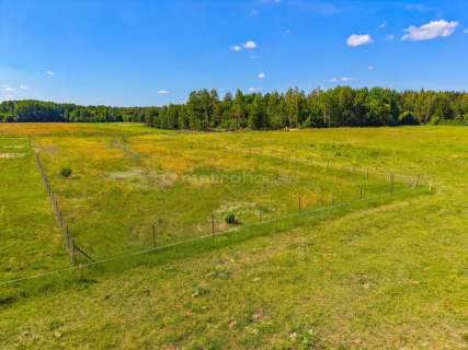 Działka budowlana 3000 m - Zabłudów, WZ, Prąd