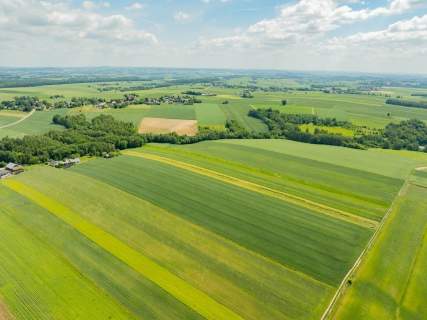 Sielska nieruchomość w otoczeniu natury 2,20 HA