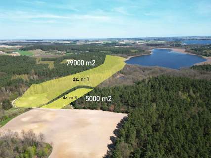Działka z linią brzegową jeziora.