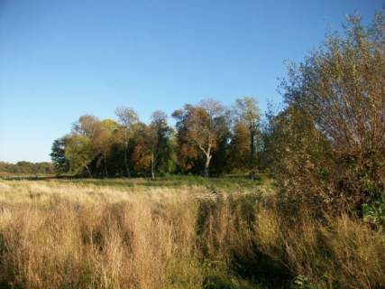 Działka inwestycyjna na sprzedaż, 70000 m2, Łasin Koszaliński