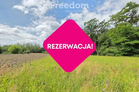 Działka budowlana z własnym lasem 5804 m Hola