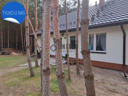 Dom wolnostojący z ogrodem w Jaźwinach/las
