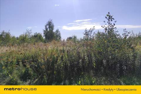 Piękna działka w Jachrance w otoczeniu lasów