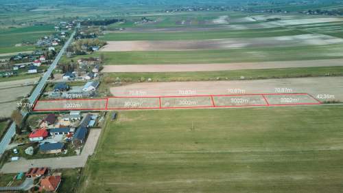Działka Borowina Starozamojska 3000 m2 z WZ