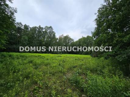 Działka inwestycyjna w Brzezinach