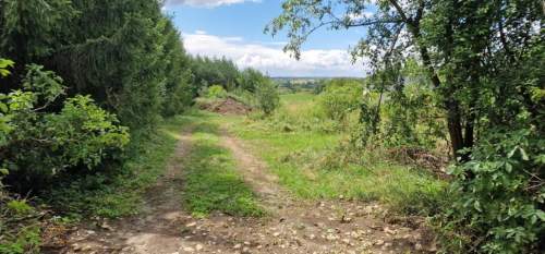 Działka budowlana na sprzedaż, 771 m2, Sadowie