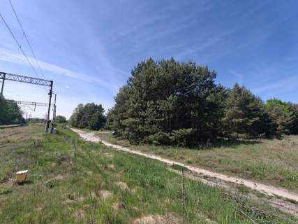 Michałów - urokliwa działka budowlana 5500 m2