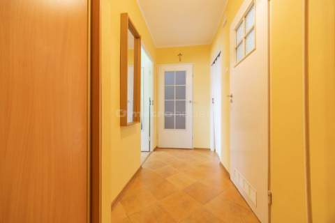 Olecko Centrum / 2 pokoje / 1 piętro / balkon