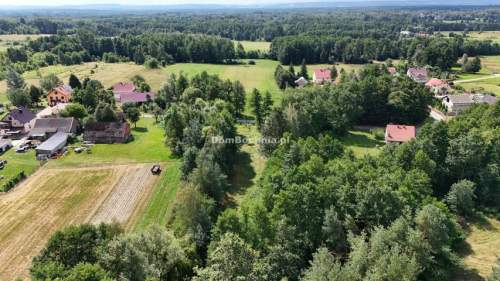 Buczków 17 ar przy drodze blisko lasu