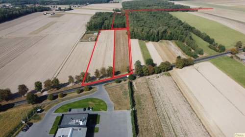 Sprzedam 4,55 ha w Gołąbkach przy trasie 63 Łuków- Radzyń Podl