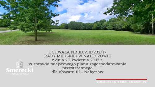 Ponad 2ha działka usługowa w Nałęczowie