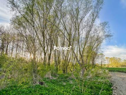 18 arów -cisza i natura, Pniówno