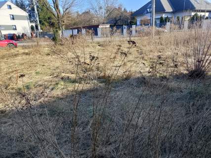 Działka budowlana Piastów