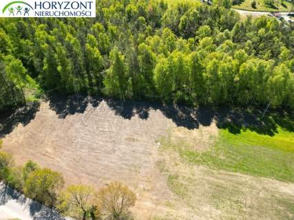 Kamień- kompleks działek przy lesie