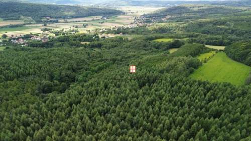 Na sprzedaż wyjątkowy kompleks leśny 15,43 h las